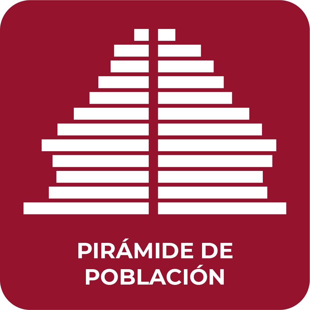 Botón Pirámide de Población Imagen Botón Pirámide de Población