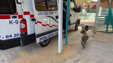 Unidad-Canina-CEE-Rosa-Parks-1