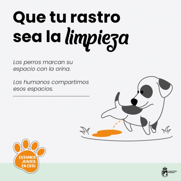 01-cartel-web