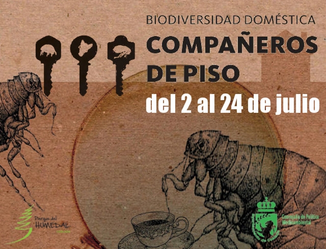 banner-expo-biodiv2020