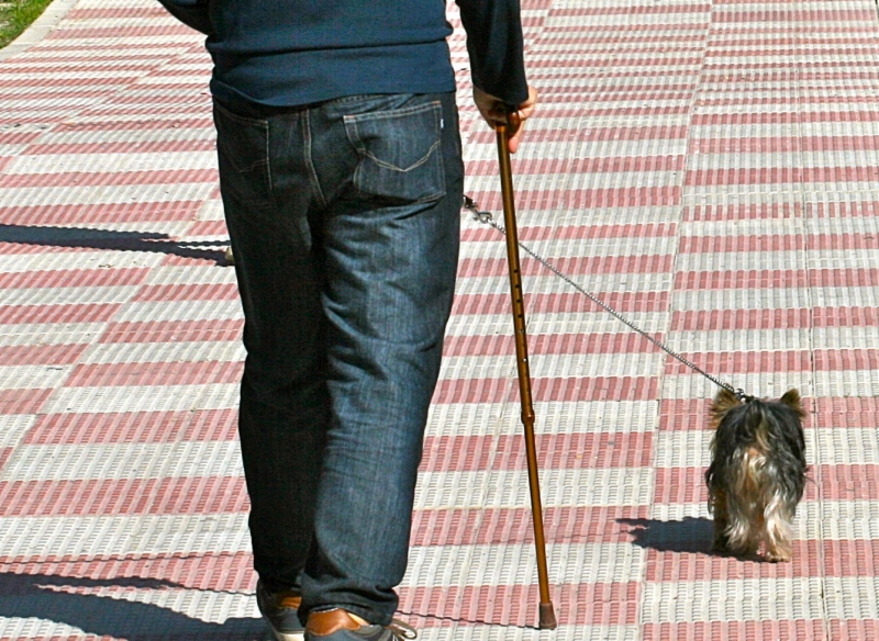 campana-perros-policia-coslada-2019-2