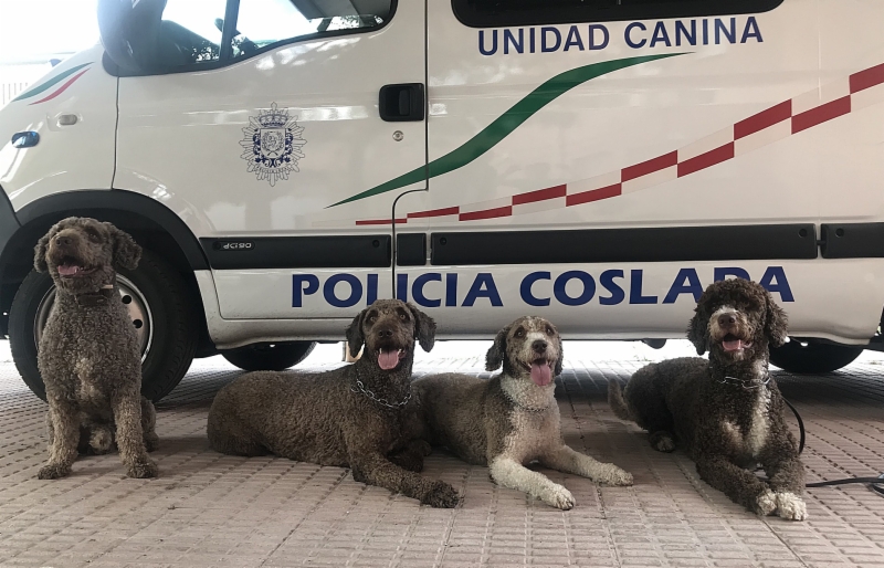 curso-unidades-caninas-1