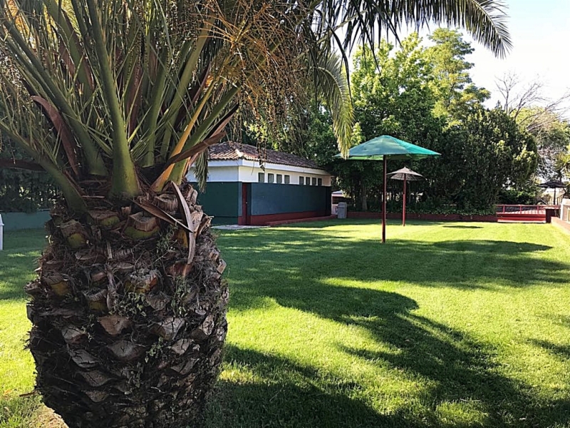 piscinas-el-cerro-2018-3