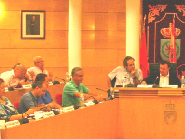 pleno-parcial