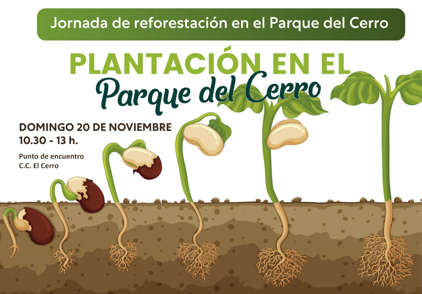 plantacion el Cerro