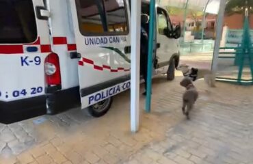 Unidad-Canina-CEE-Rosa-Parks-1